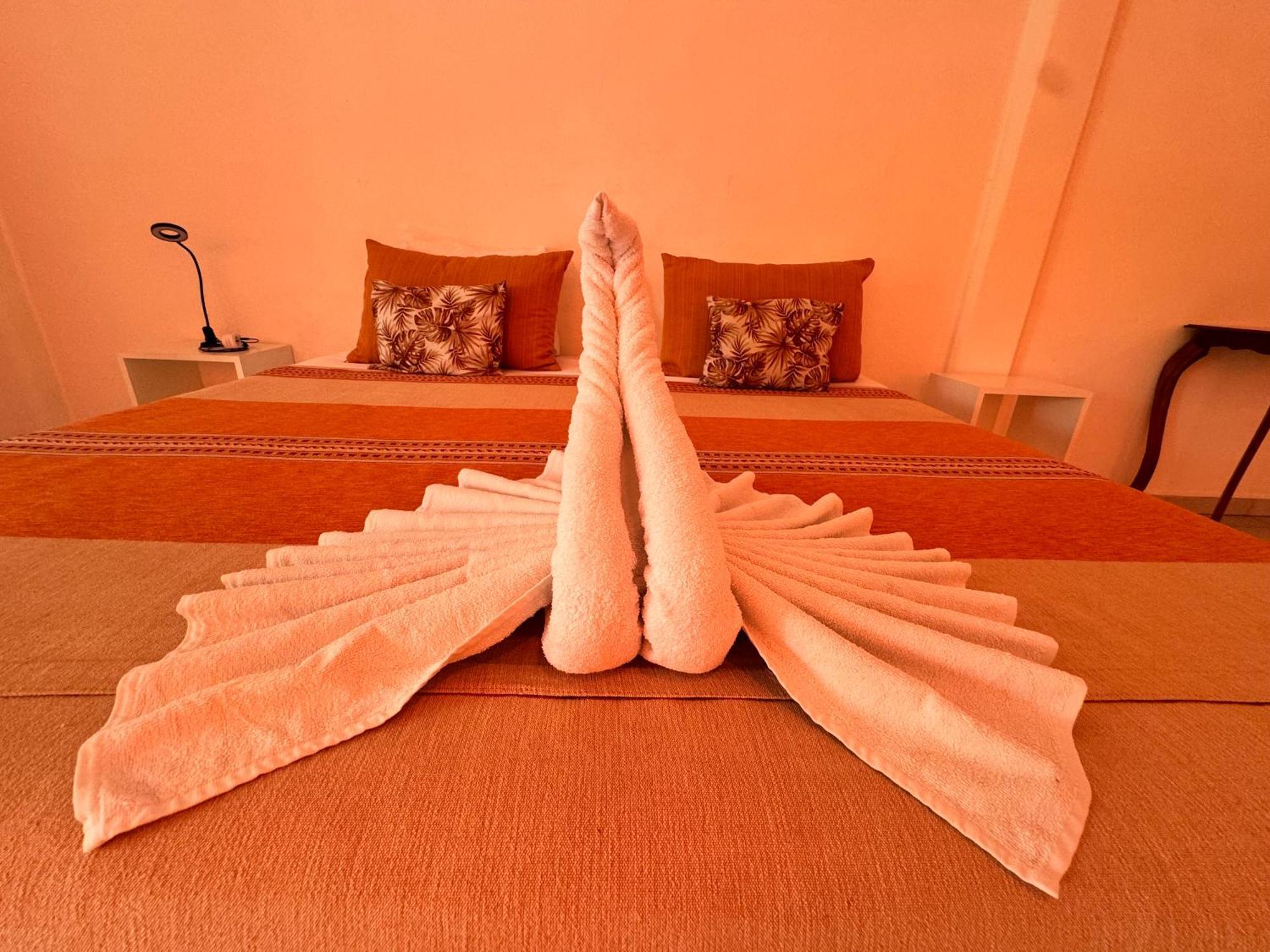 "Vainilla B&B" - Stylish Comfort In Плайя-дель-Кармен Екстер'єр фото